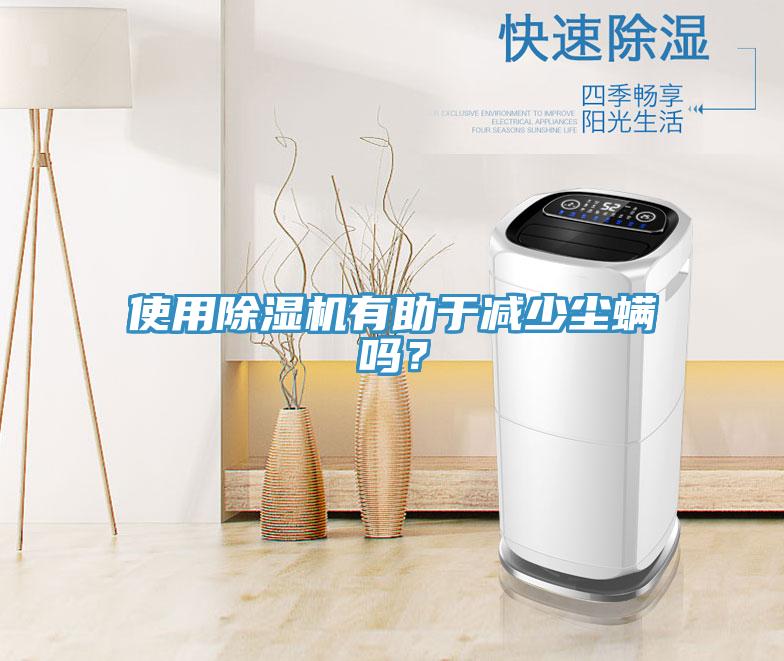 使用91看片软件大全有助於減少塵蟎嗎？