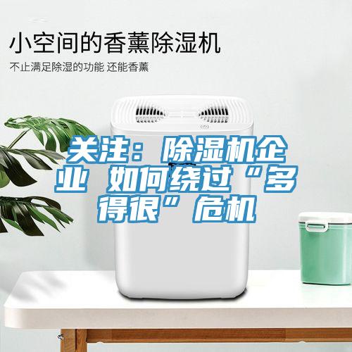 關注：91看片软件大全企業 如何繞過“多得很”危機