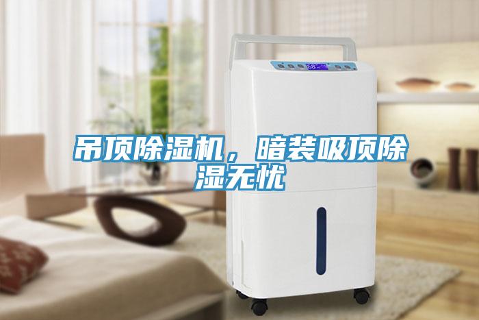 吊頂91看片软件大全，暗裝吸頂除濕無憂