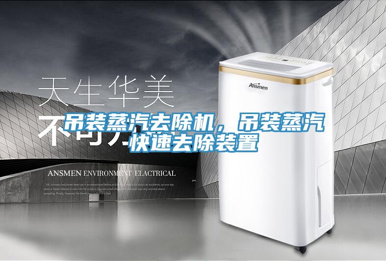 吊裝蒸汽去除機，吊裝蒸汽快速去除裝置