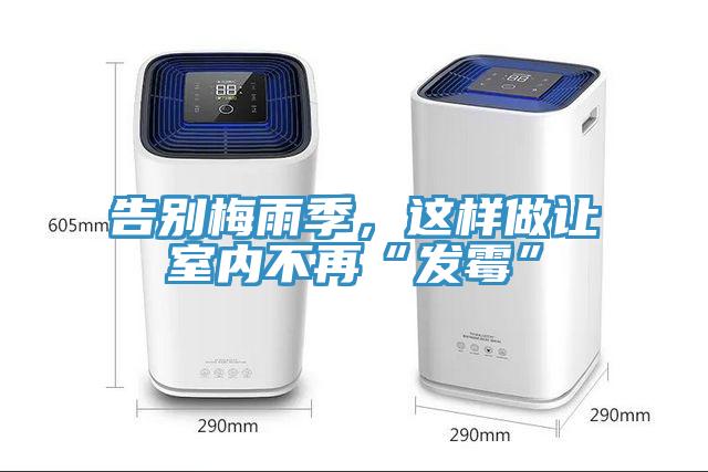 告別梅雨季，這樣做讓室內不再“發黴”
