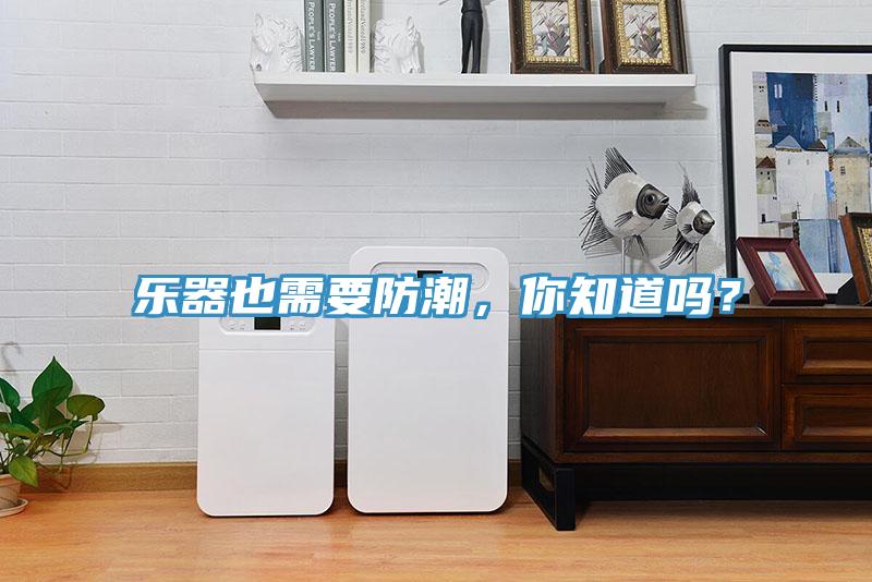 樂器也需要防潮，你知道嗎？