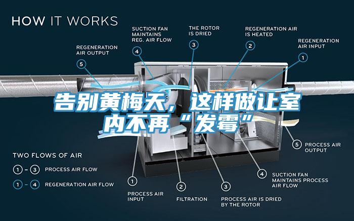 告別黃梅天，這樣做讓室內不再“發黴”
