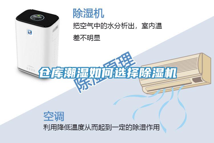 倉庫潮濕如何選擇91看片软件大全