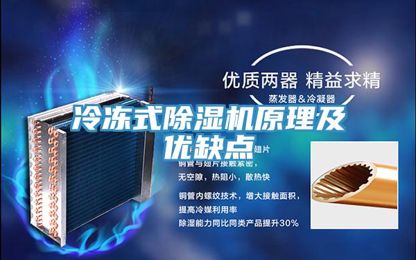 冷凍式91看片软件大全原理及優缺點