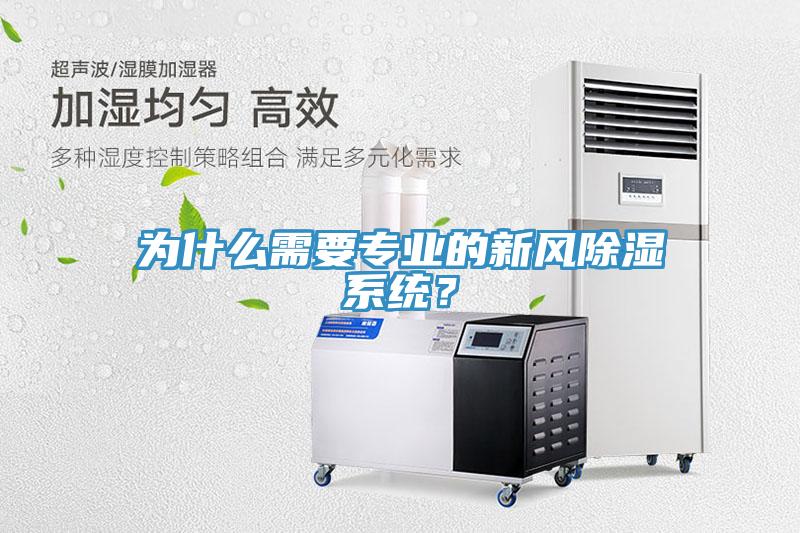 為什麽需要專業的新風除濕係統？