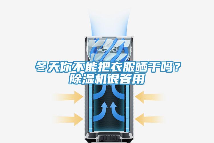 冬天你不能把衣服曬幹嗎？91看片软件大全很管用