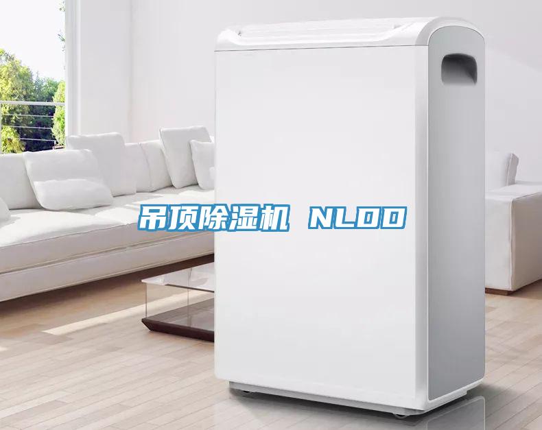 吊頂91看片软件大全 NLDD