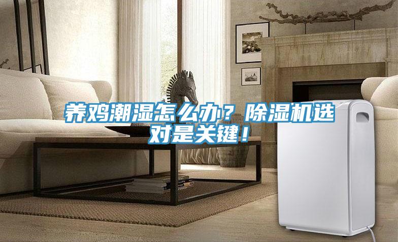 養雞潮濕怎麽辦？91看片软件大全選對是關鍵！