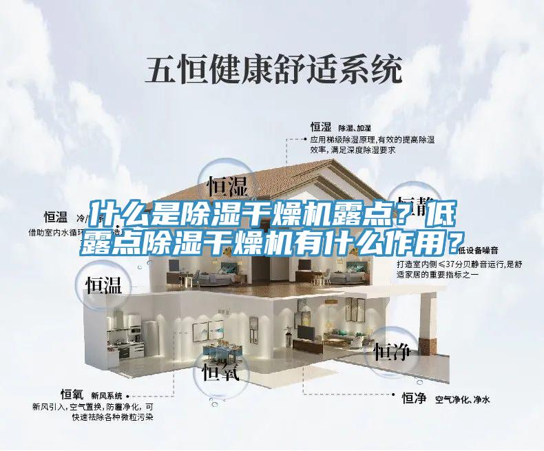 什麽是除濕幹燥機露點？低露點除濕幹燥機有什麽作用？