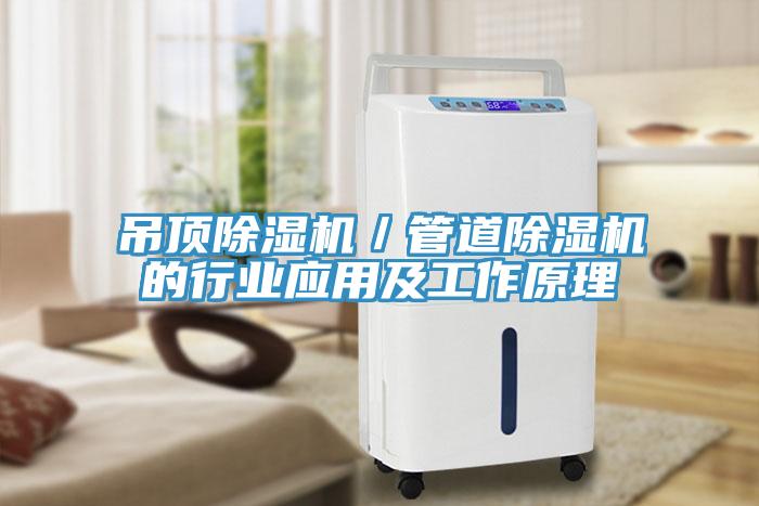 吊頂91看片软件大全／管道91看片软件大全的行業應用及工作原理