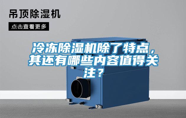 冷凍91看片软件大全除了特點，其還有哪些內容值得關注？