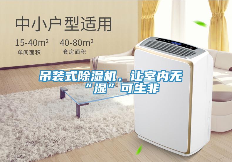 吊裝式91看片软件大全，讓室內無“濕”可生非