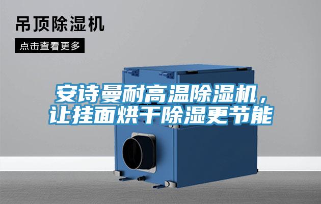 91AV手机看片耐高溫91看片软件大全，讓掛麵烘幹除濕更節能