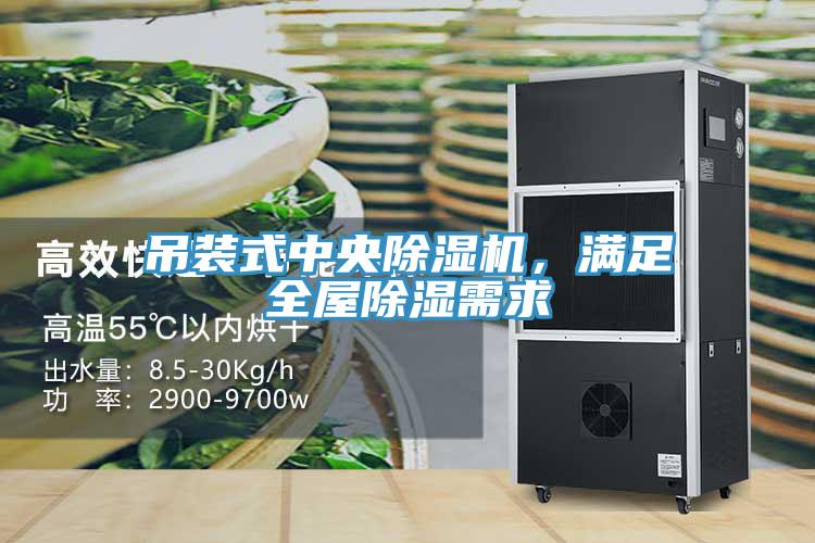 吊裝式中央91看片软件大全，滿足全屋除濕需求