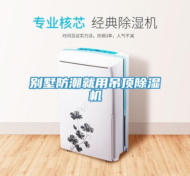 別墅防潮就用吊頂91看片软件大全
