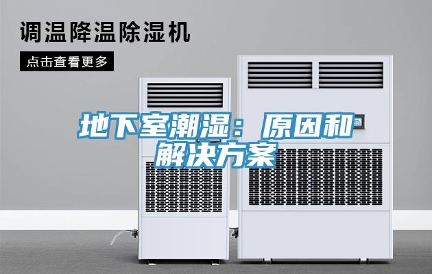 地下室潮濕：原因和解決方案