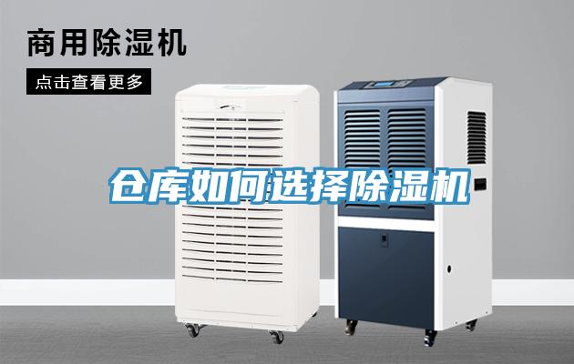 倉庫如何選擇91看片软件大全