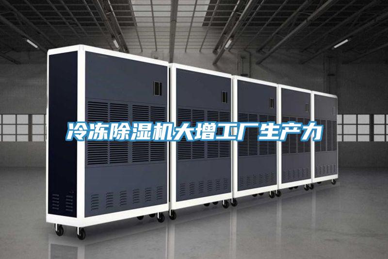 冷凍91看片软件大全大增工廠生產力