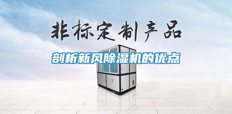 剖析新風91看片软件大全的優點