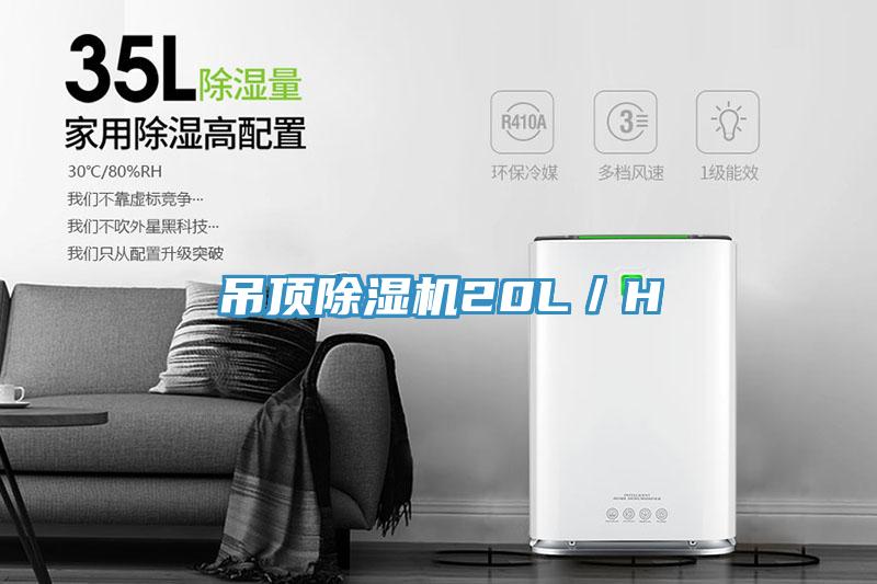 吊頂91看片软件大全20L／H