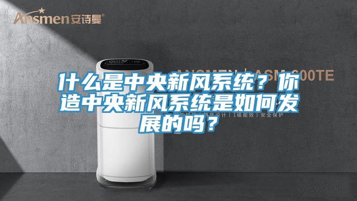 什麽是中央新風係統？你造中央新風係統是如何發展的嗎？