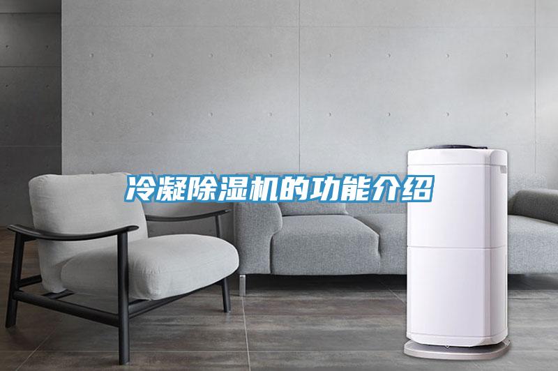 冷凝91看片软件大全的功能介紹