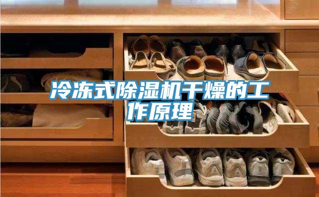 冷凍式91看片软件大全幹燥的工作原理