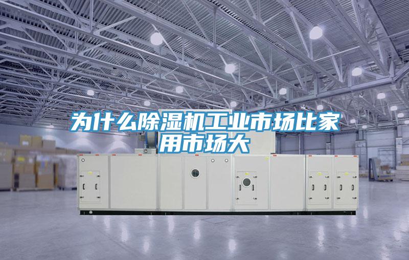 為什麽91看片软件大全工業市場比家用市場大