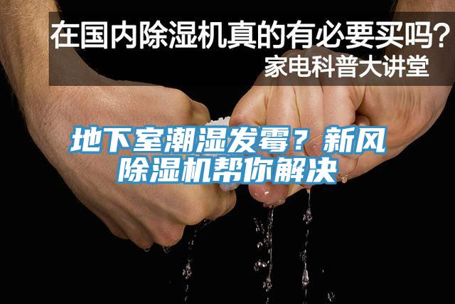 地下室潮濕發黴？新風91看片软件大全幫你解決