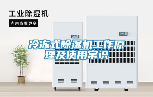冷凍式91看片软件大全工作原理及使用常識