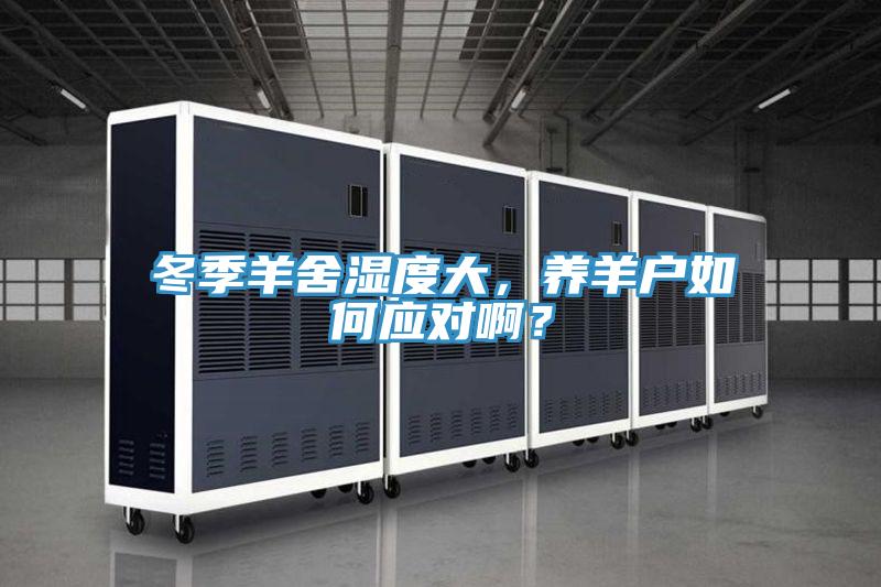 冬季羊舍濕度大，養羊戶如何應對啊？