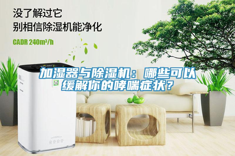 加濕器與91看片软件大全：哪些可以緩解你的哮喘症狀？