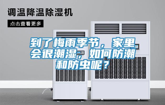 到了梅雨季節，家裏會很潮濕，如何防潮和防蟲呢？