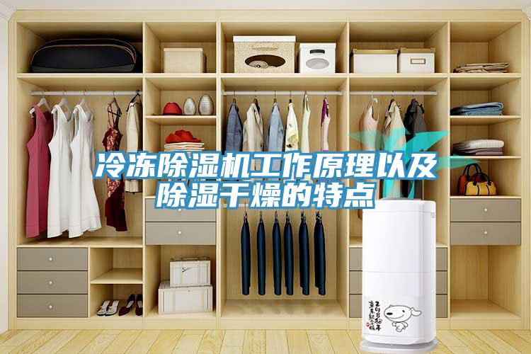 冷凍91看片软件大全工作原理以及除濕幹燥的特點