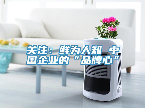 關注：鮮為人知 中國企業的“品牌心”