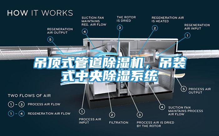 吊頂式管道91看片软件大全，吊裝式中央除濕係統