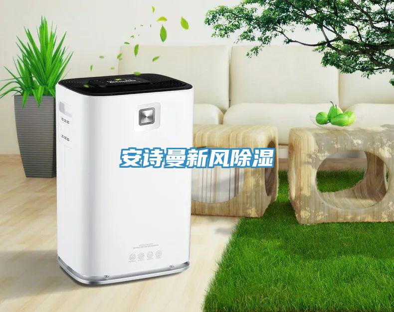 91AV手机看片新風除濕