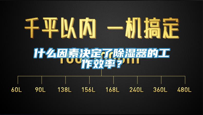 什麽因素決定了除濕器的工作效率？