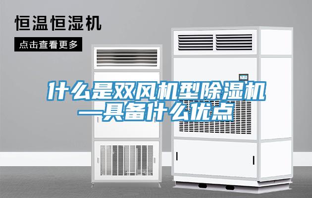 什麽是雙風機型91看片软件大全—具備什麽優點