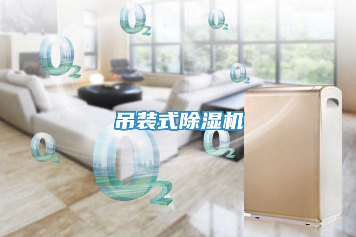 吊裝式91看片软件大全