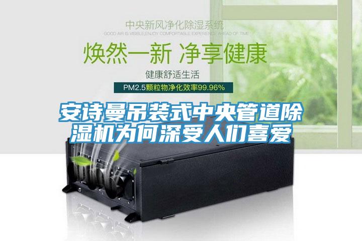 91AV手机看片吊裝式中央管道91看片软件大全為何深受人們喜愛