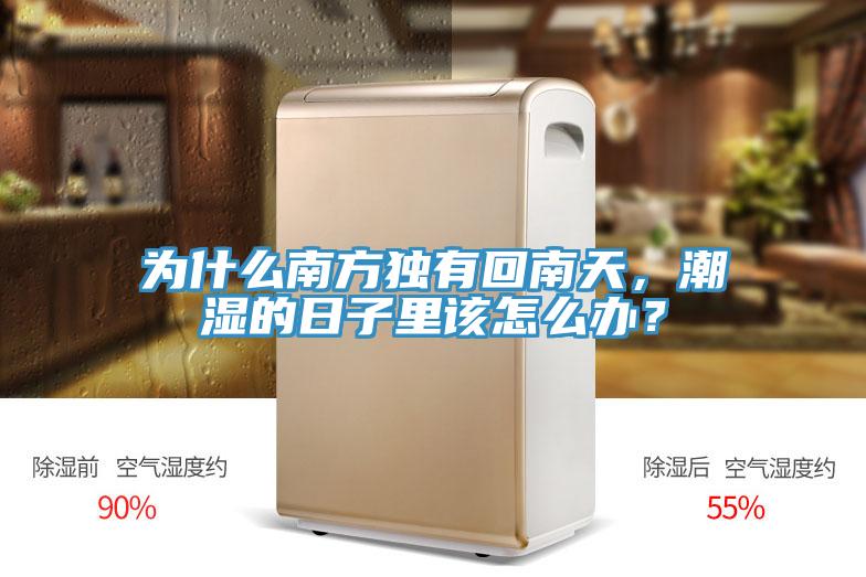 為什麽南方獨有回南天，潮濕的日子裏該怎麽辦？