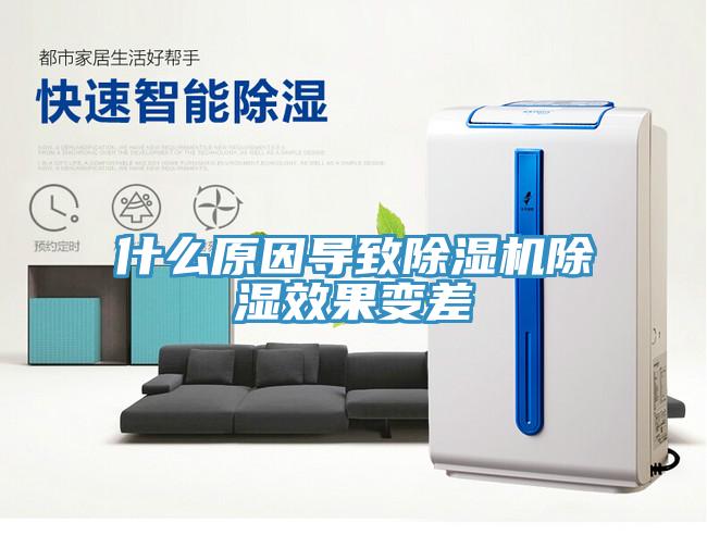 什麽原因導致91看片软件大全除濕效果變差