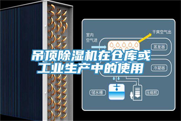 吊頂91看片软件大全在倉庫或工業生產中的使用