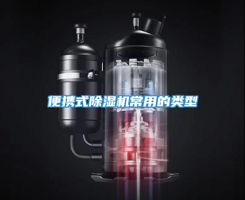 便攜式91看片软件大全常用的類型