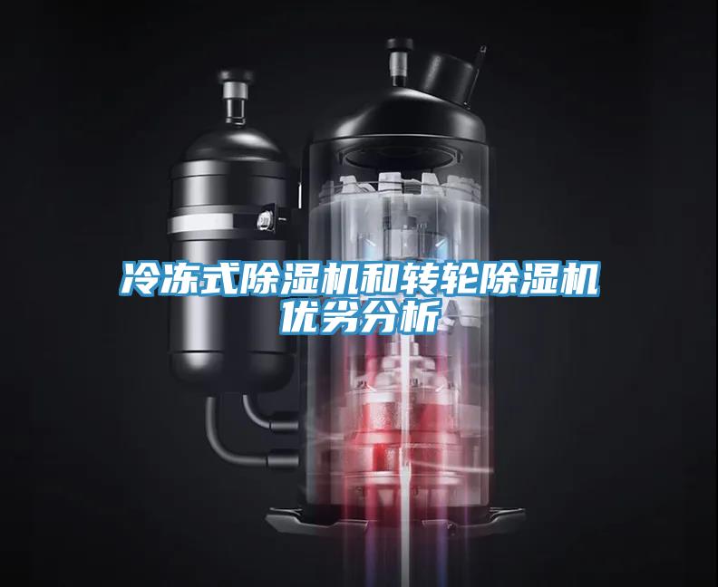 冷凍式91看片软件大全和轉輪91看片软件大全優劣分析