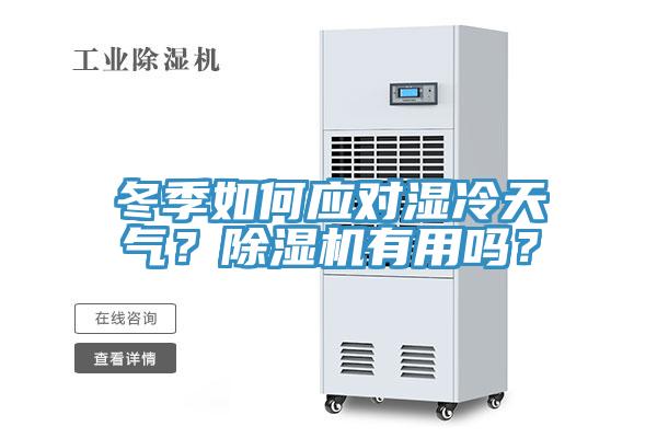 冬季如何應對濕冷天氣？91看片软件大全有用嗎？