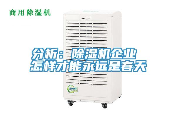 分析：91看片软件大全企業 怎樣才能永遠是春天