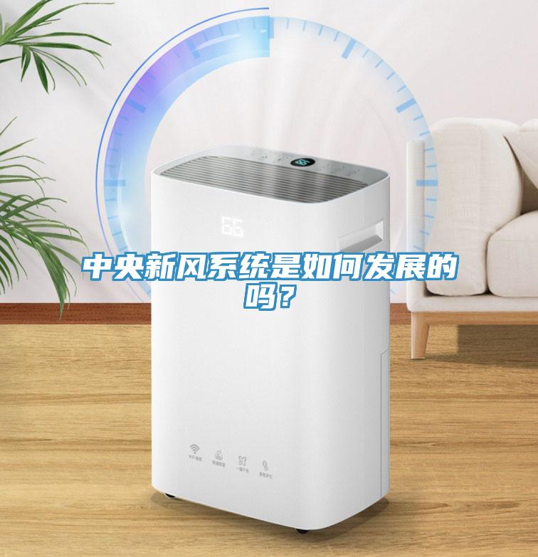 中央新風係統是如何發展的嗎？